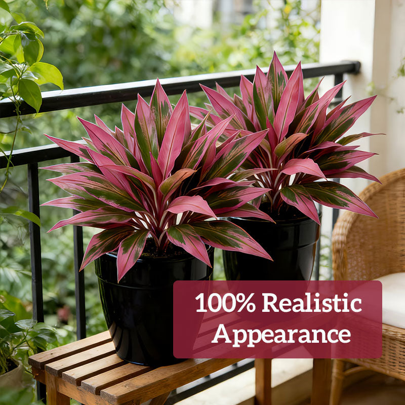 💖Last Day!! Buy 1 Get 1 FREE🏡🌿Artificial Red Cordyline Ti Plant – No-Fuss Year-Round Vibrant Foliage!