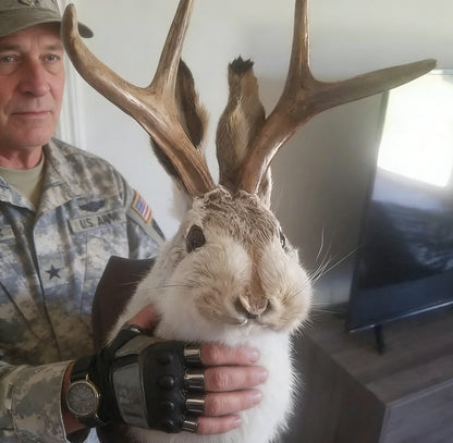 ❤️Handcrafted  Jackalope-Decorative Arts
