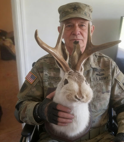 ❤️Handcrafted  Jackalope-Decorative Arts