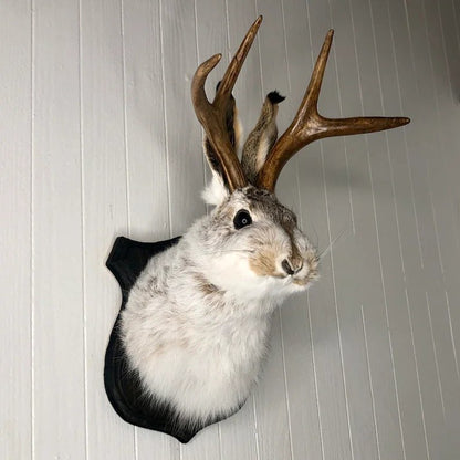 ❤️Handcrafted  Jackalope-Decorative Arts