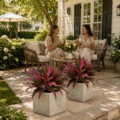 💖Last Day!! Buy 1 Get 1 FREE🏡🌿Artificial Red Cordyline Ti Plant – No-Fuss Year-Round Vibrant Foliage!