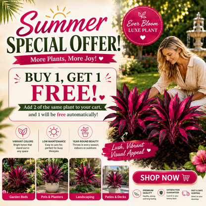 💖Last Day!! Buy 1 Get 1 FREE🏡🌿Artificial Red Cordyline Ti Plant – No-Fuss Year-Round Vibrant Foliage!
