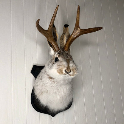 ❤️Handcrafted  Jackalope-Decorative Arts