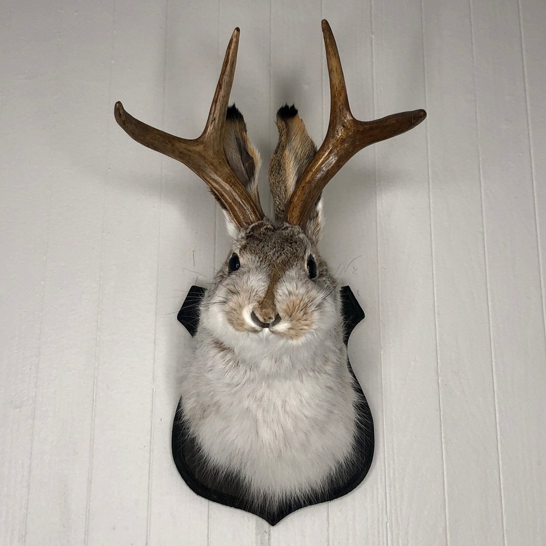 ❤️Handcrafted  Jackalope-Decorative Arts