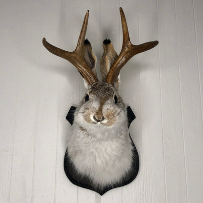 ❤️Handcrafted  Jackalope-Decorative Arts